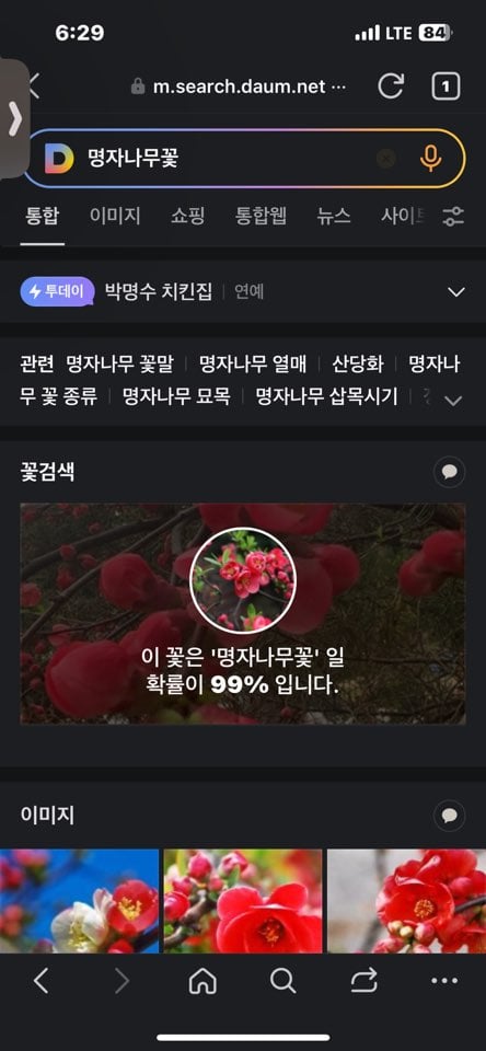 게시글 이미지
