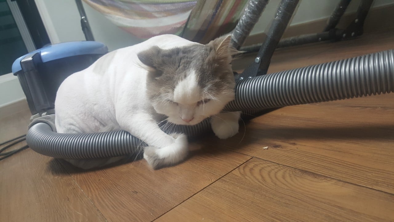 게시글 이미지