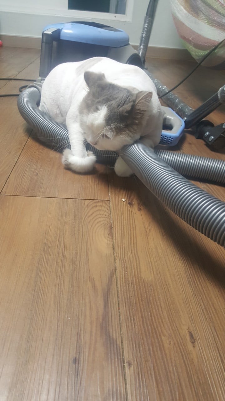 게시글 이미지