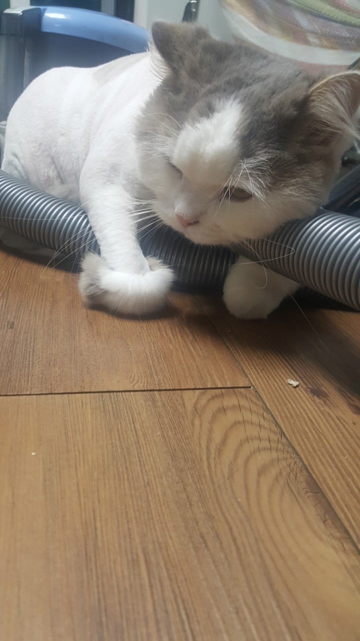 게시글 이미지