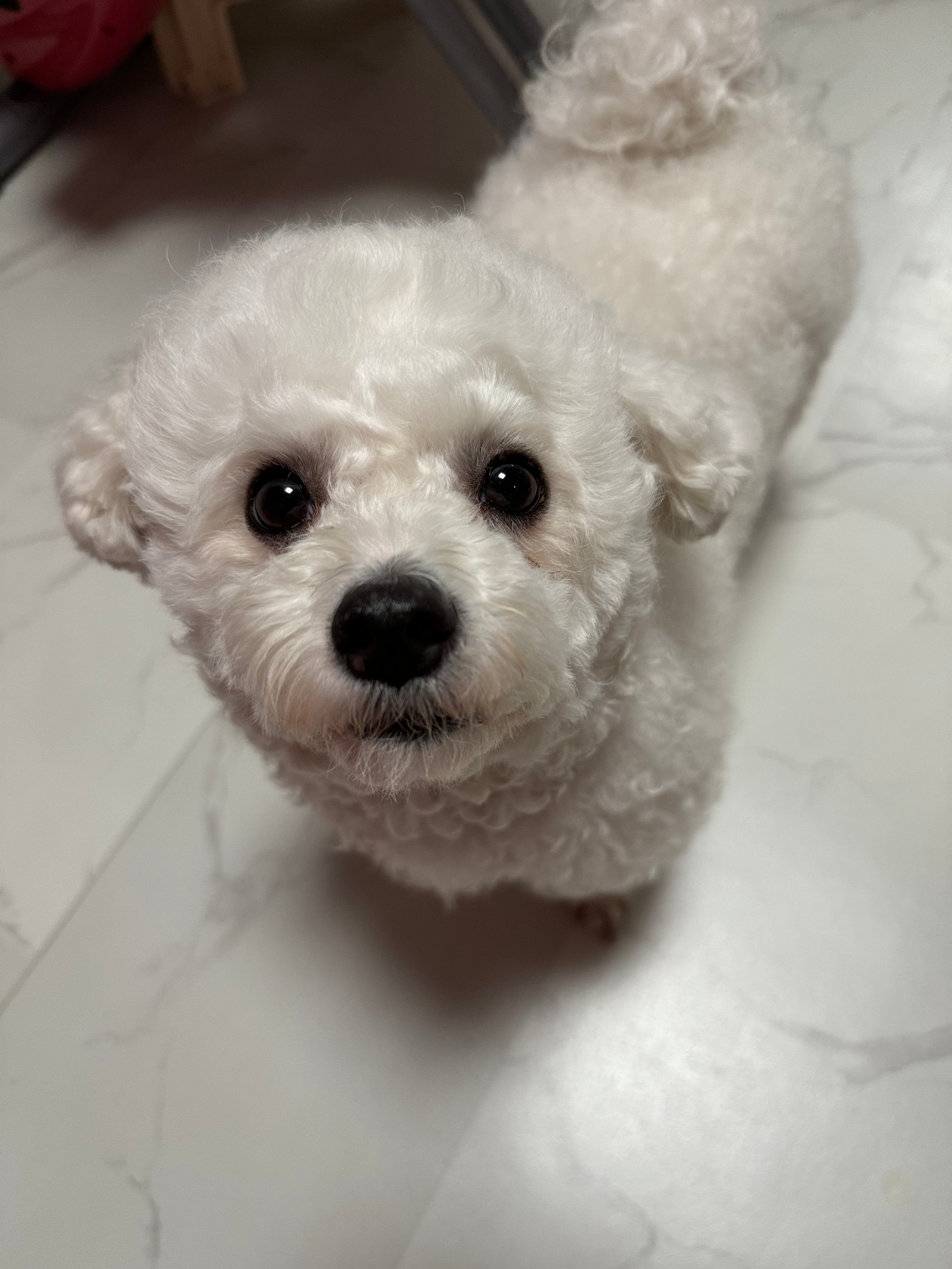 게시글 이미지