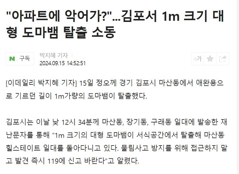게시글 이미지