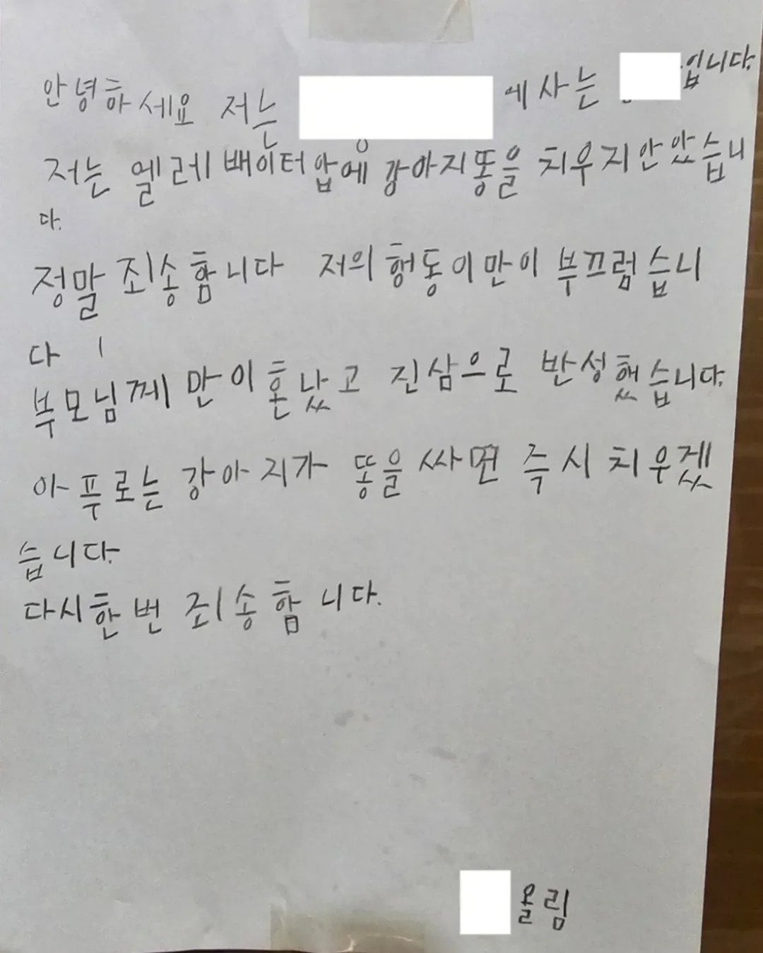 게시글 이미지