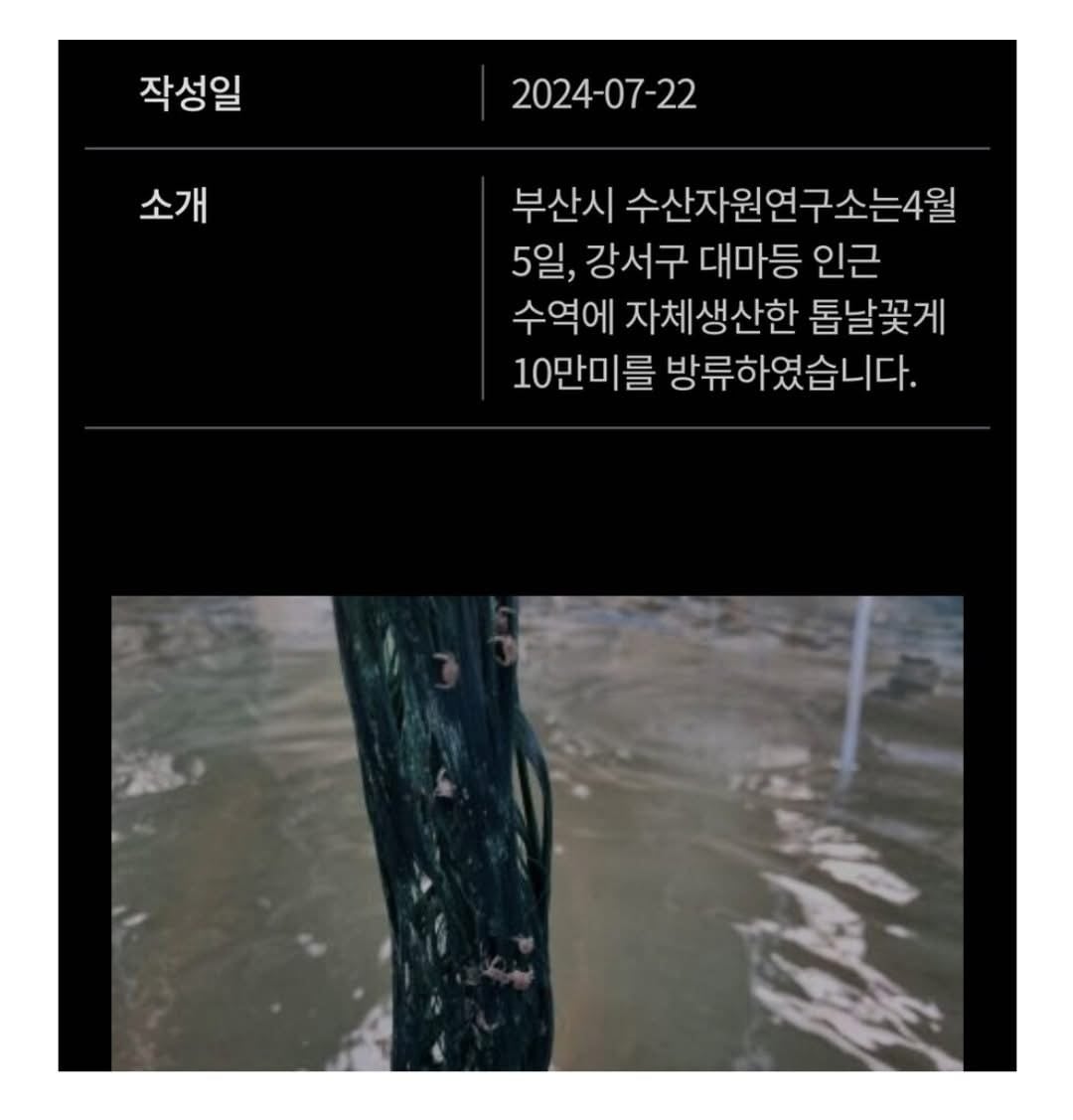 게시글 이미지