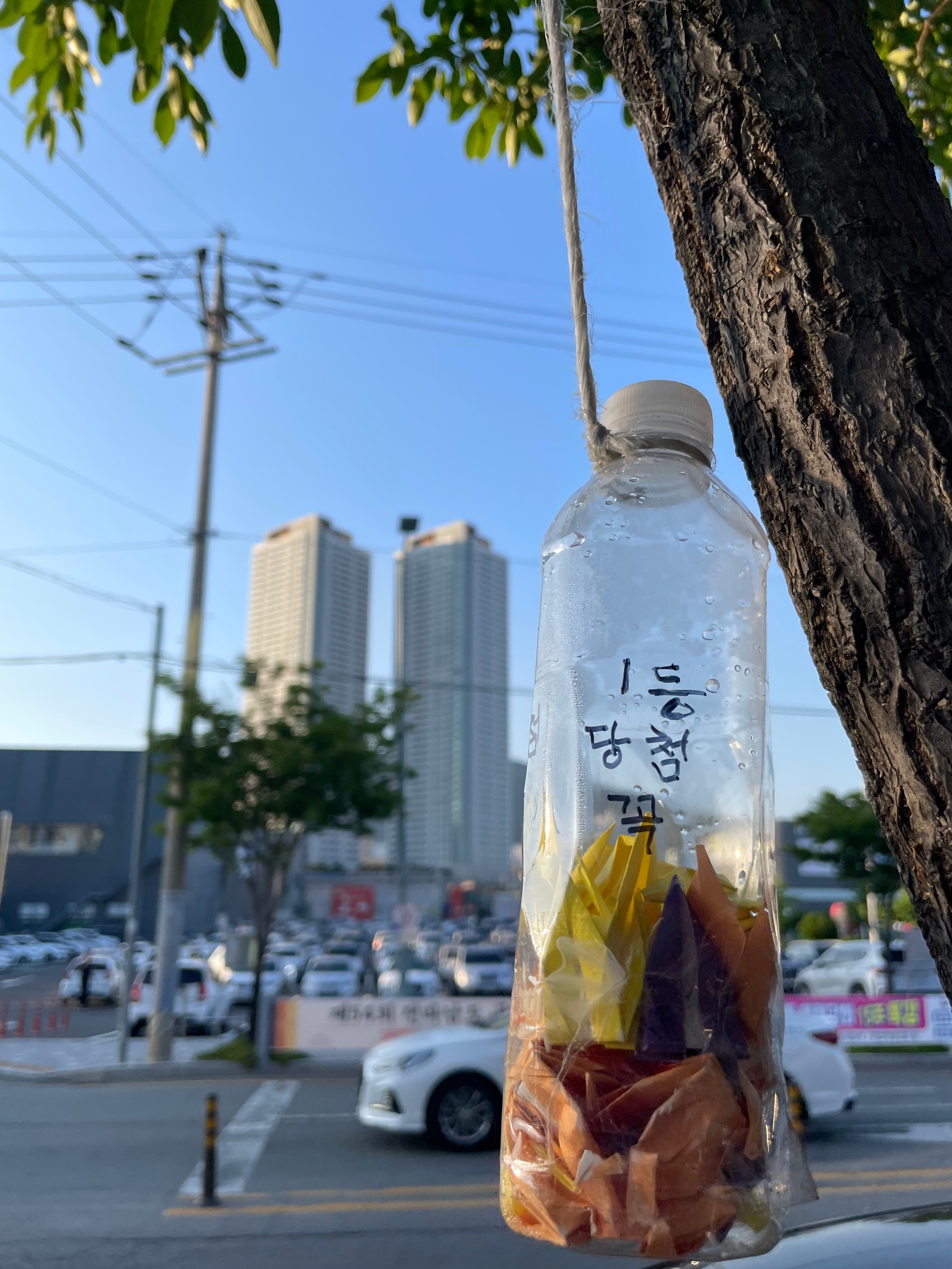 게시글 이미지