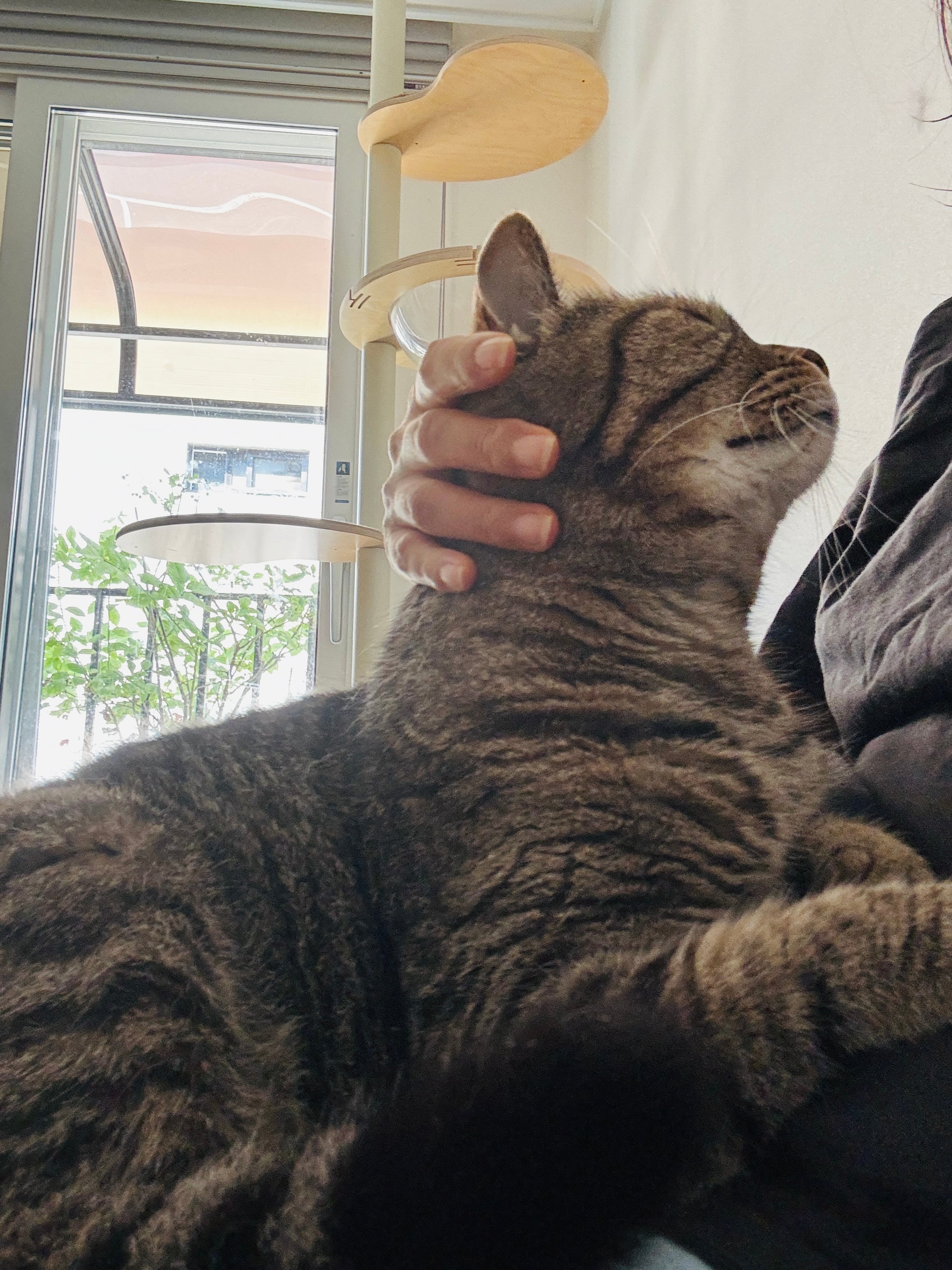 게시글 이미지