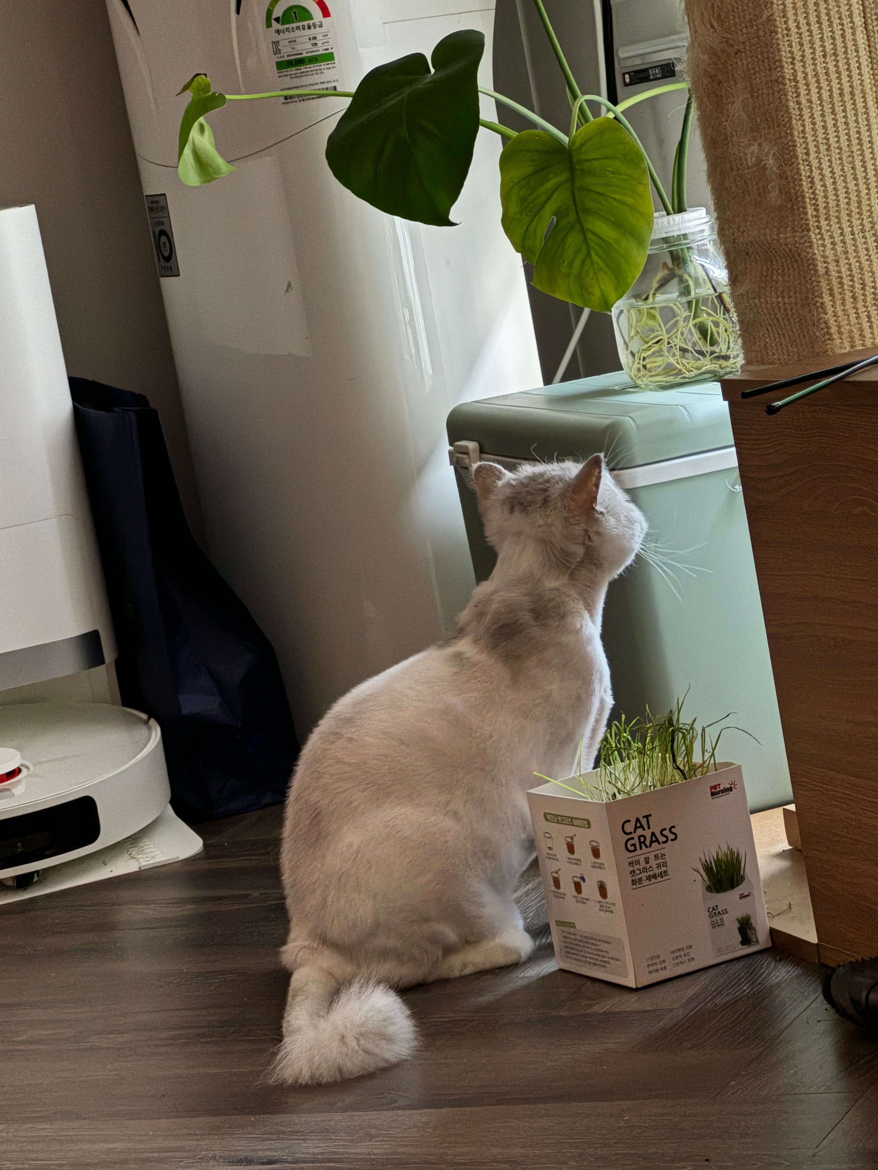 게시글 이미지