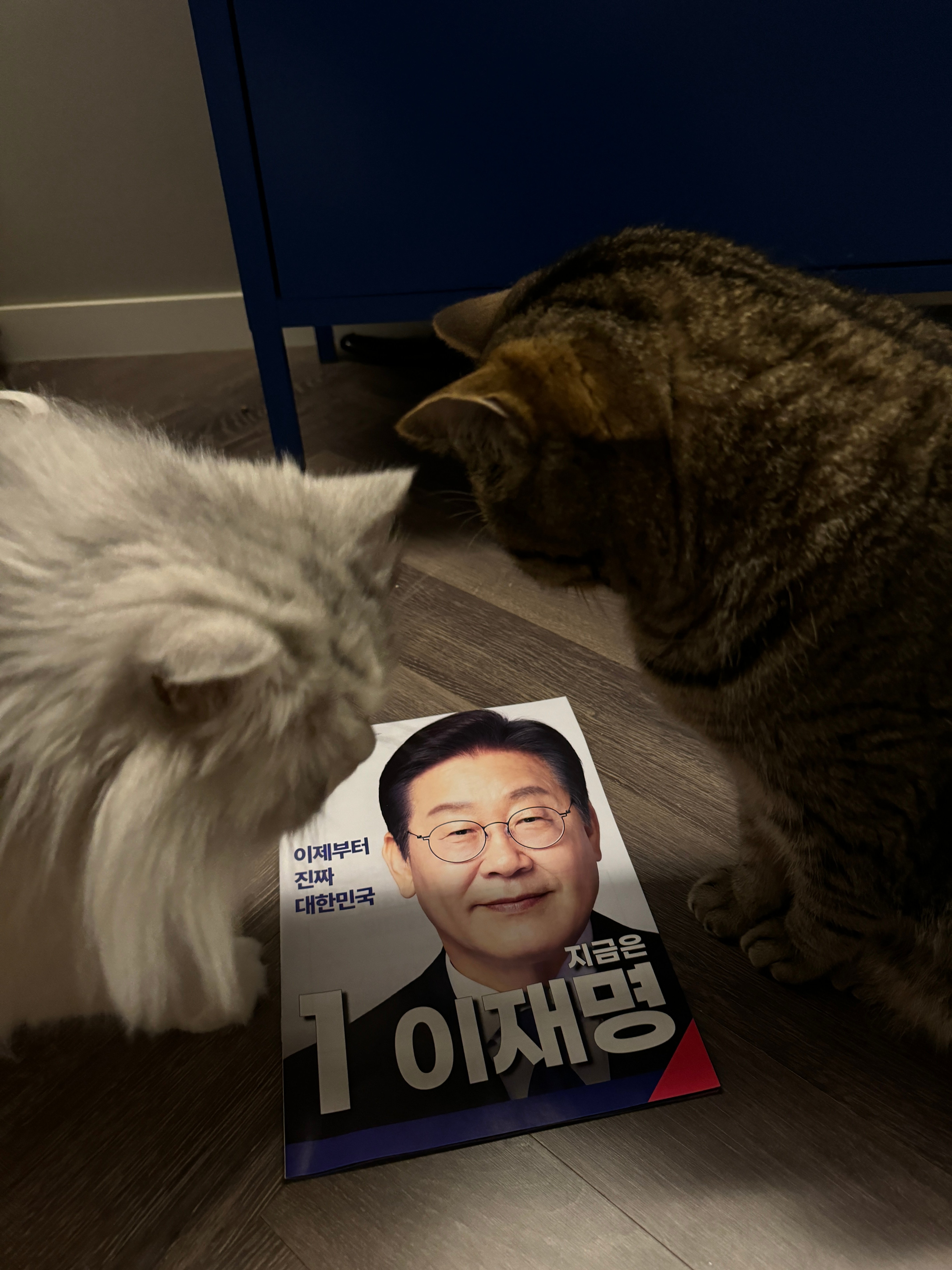 게시글 이미지