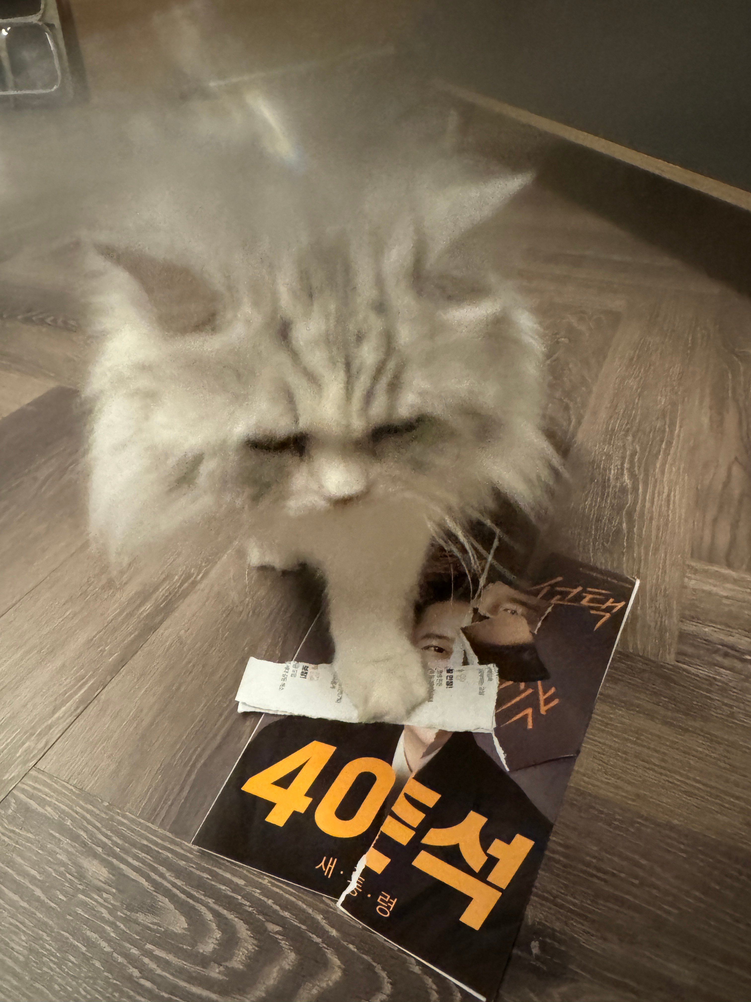 게시글 이미지