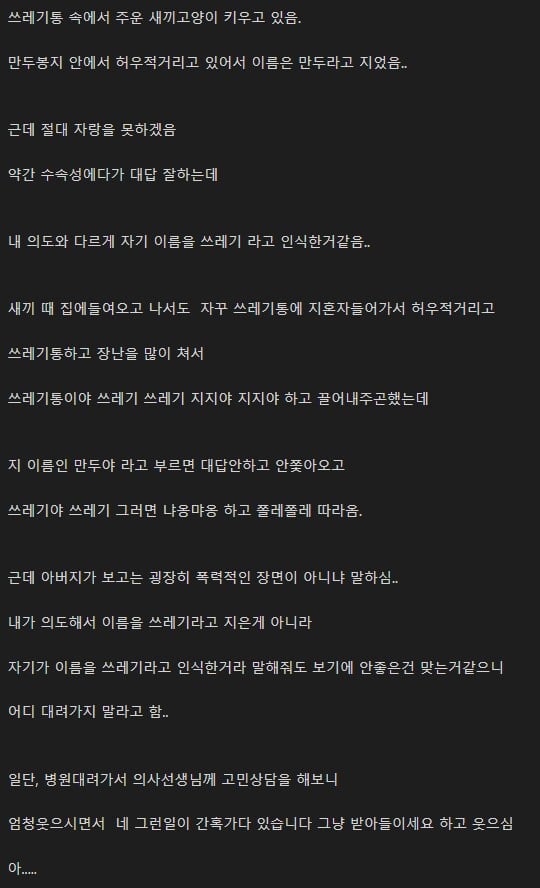 게시글 이미지
