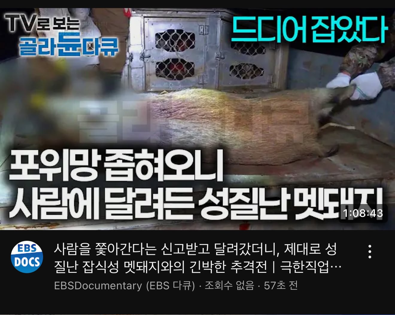 게시글 이미지