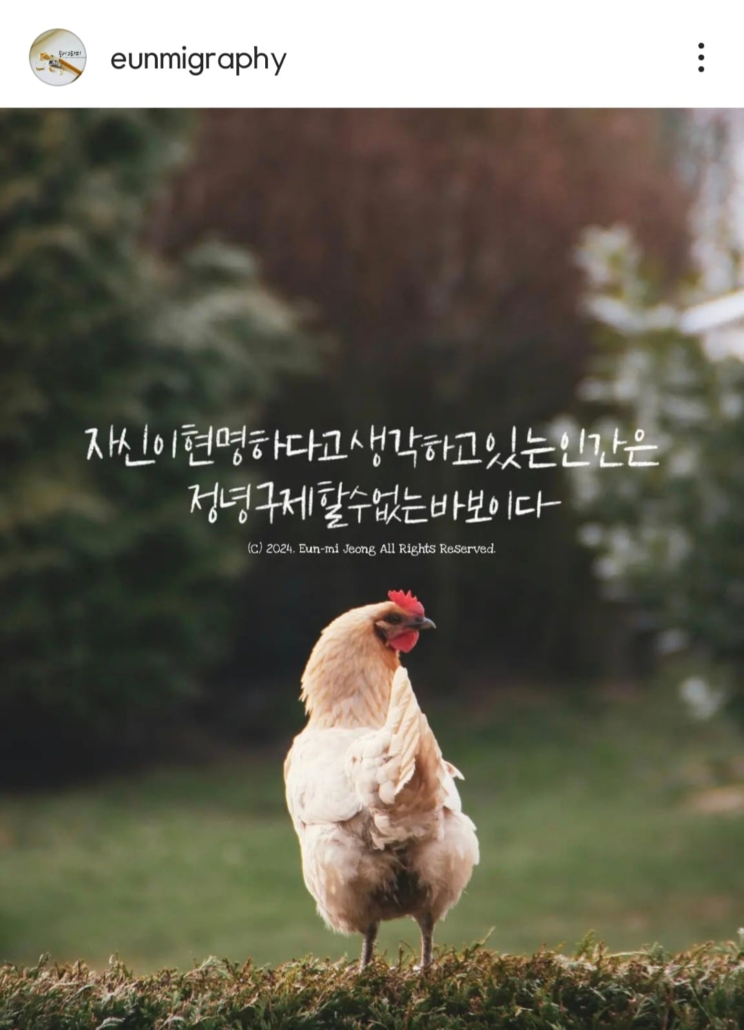 게시글 이미지