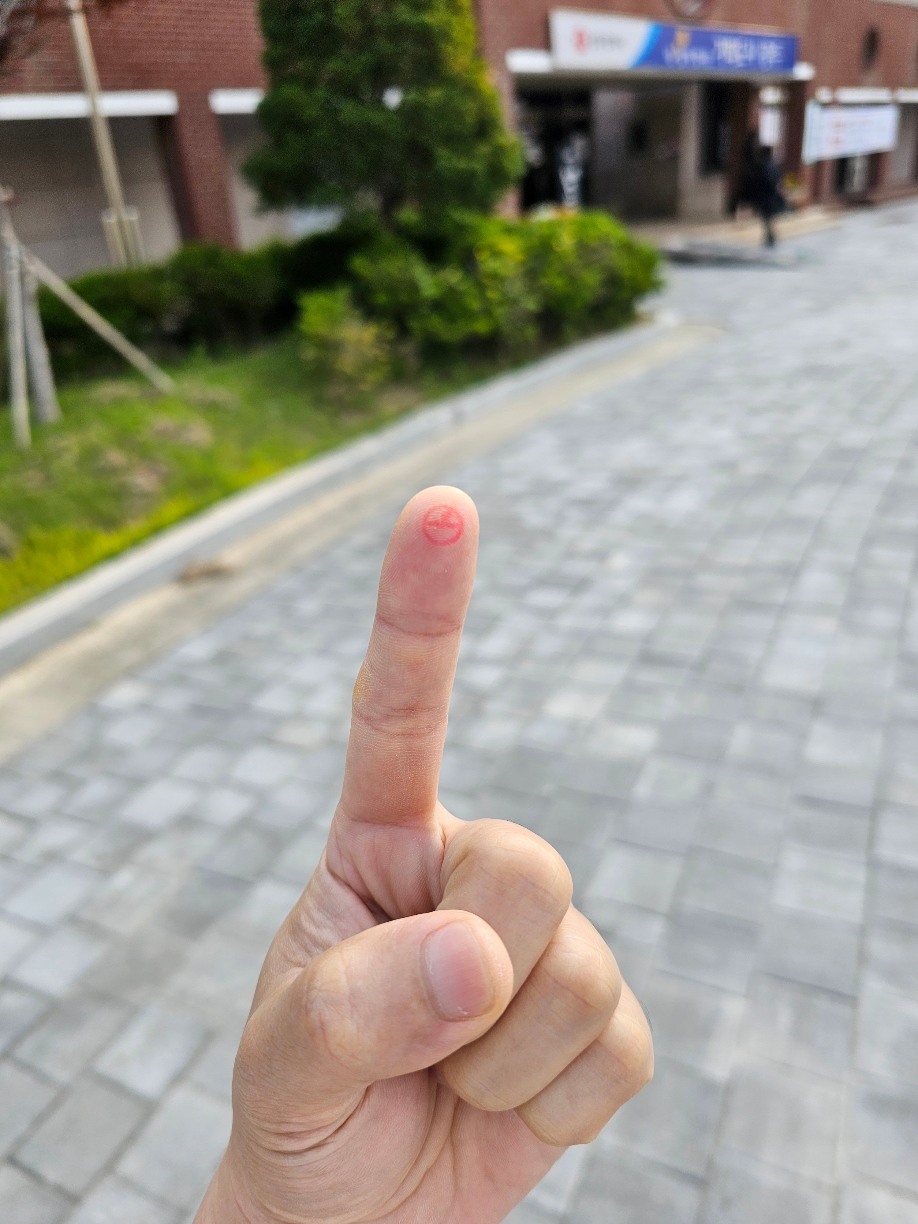 게시글 이미지