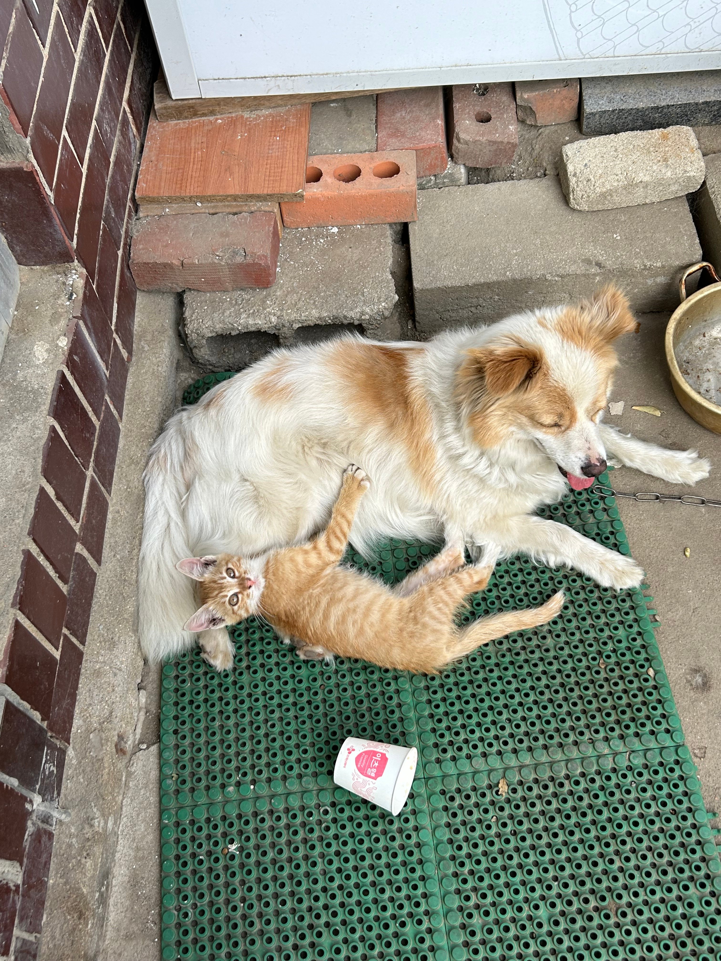 게시글 이미지