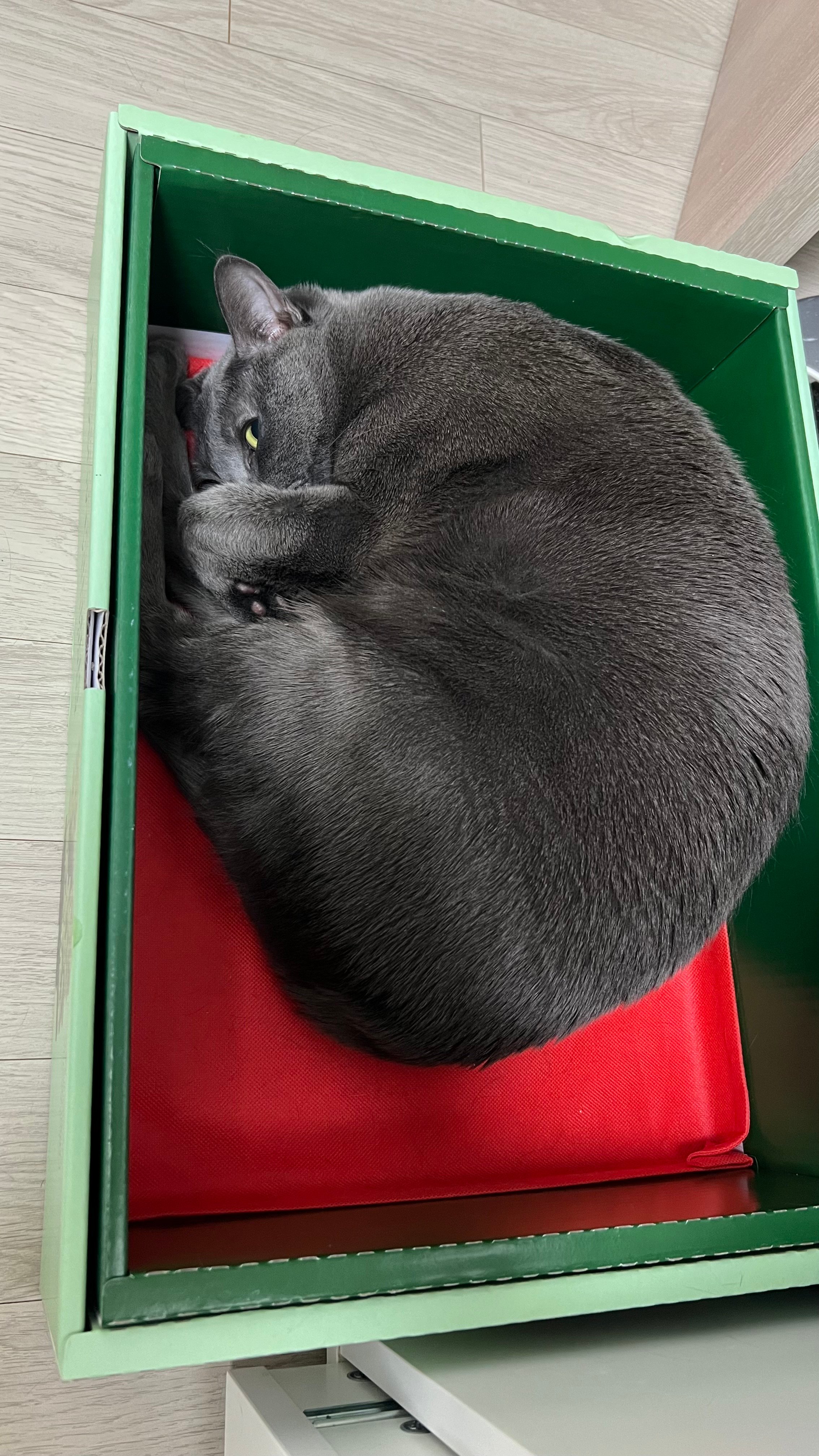 게시글 이미지