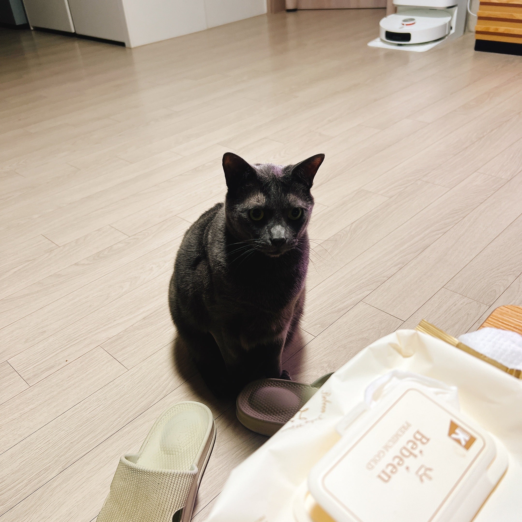 게시글 이미지