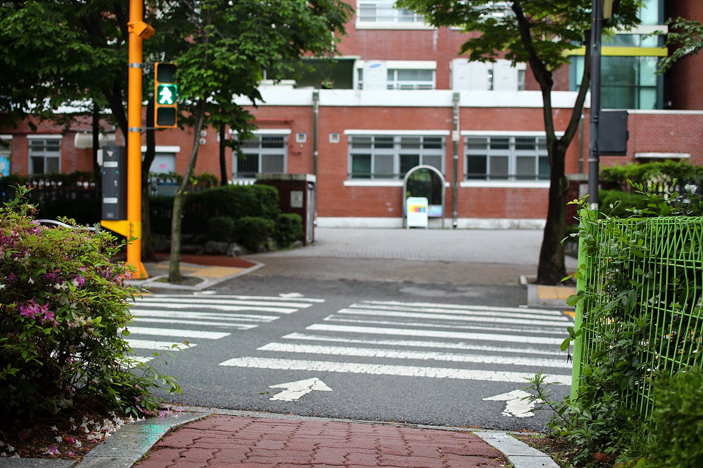 게시글 이미지