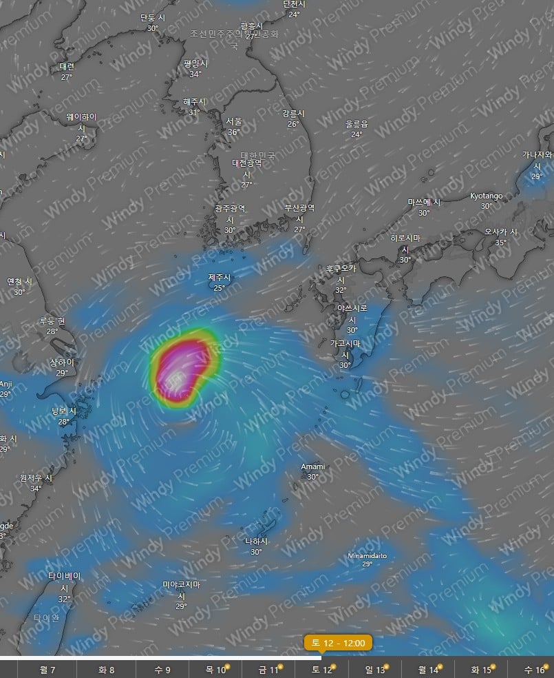 게시글 이미지