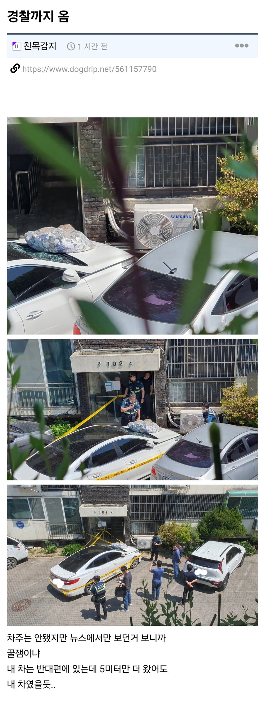 게시글 이미지