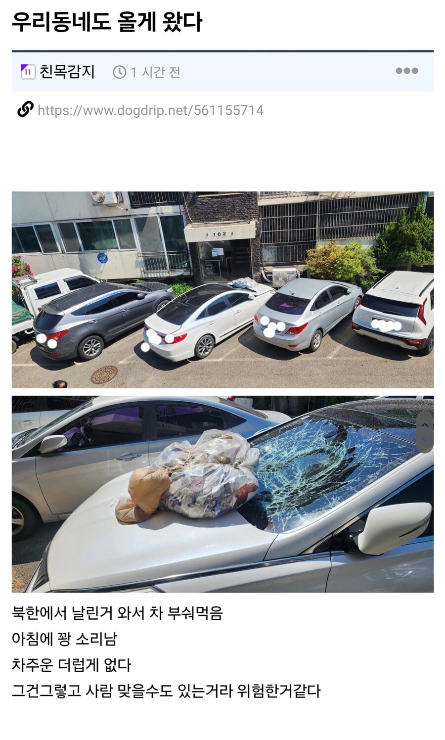 게시글 이미지