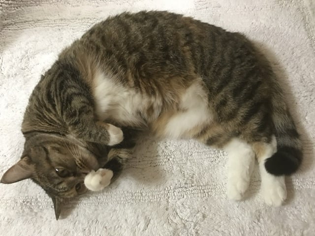 게시글 이미지