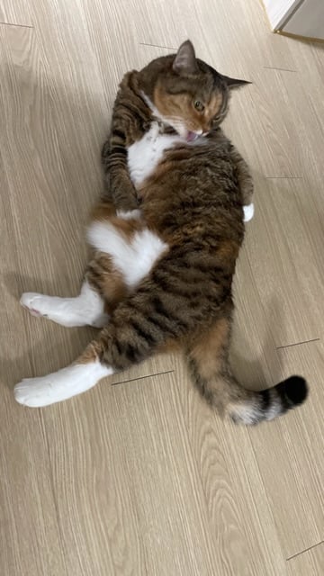 게시글 이미지