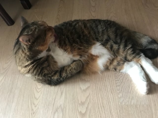 게시글 이미지