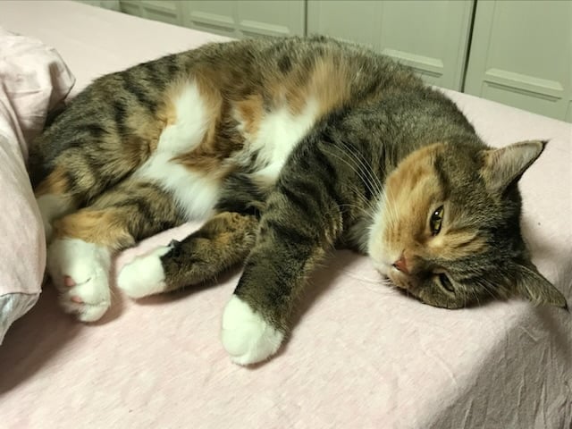 게시글 이미지