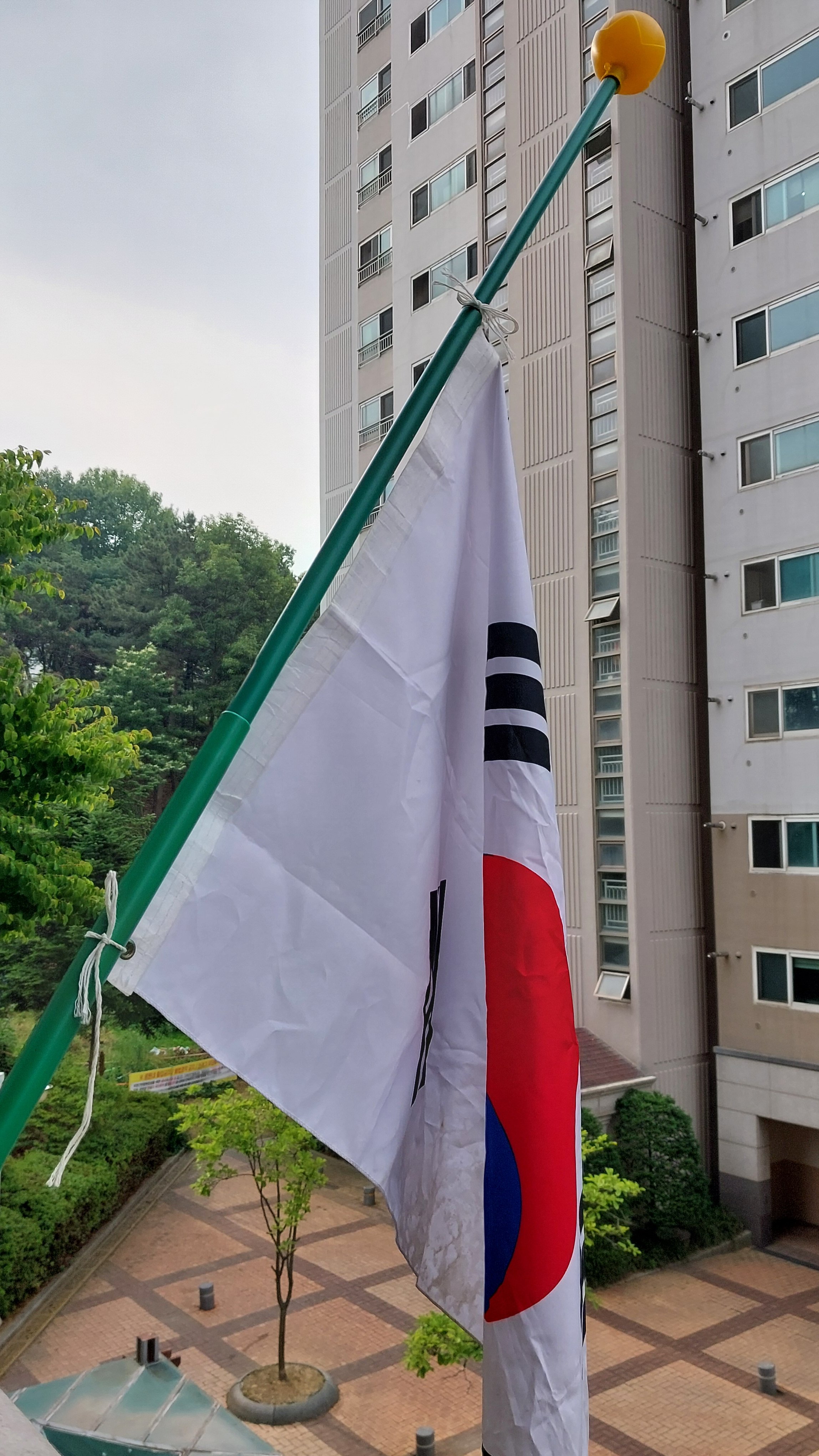 게시글 이미지