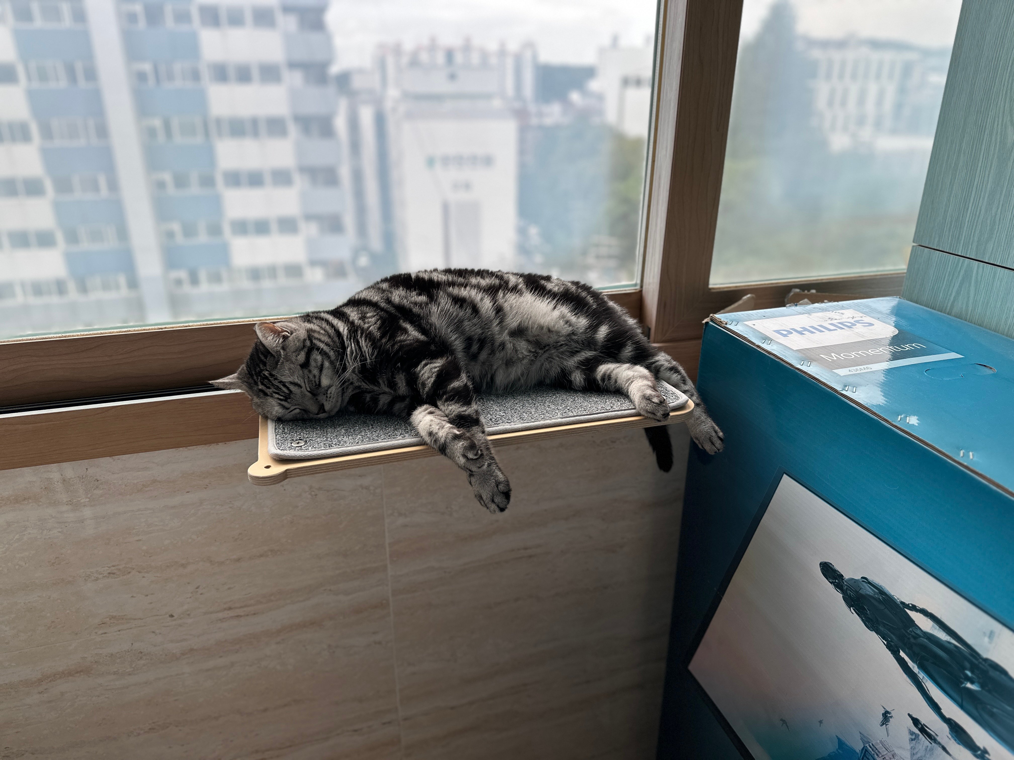 게시글 이미지