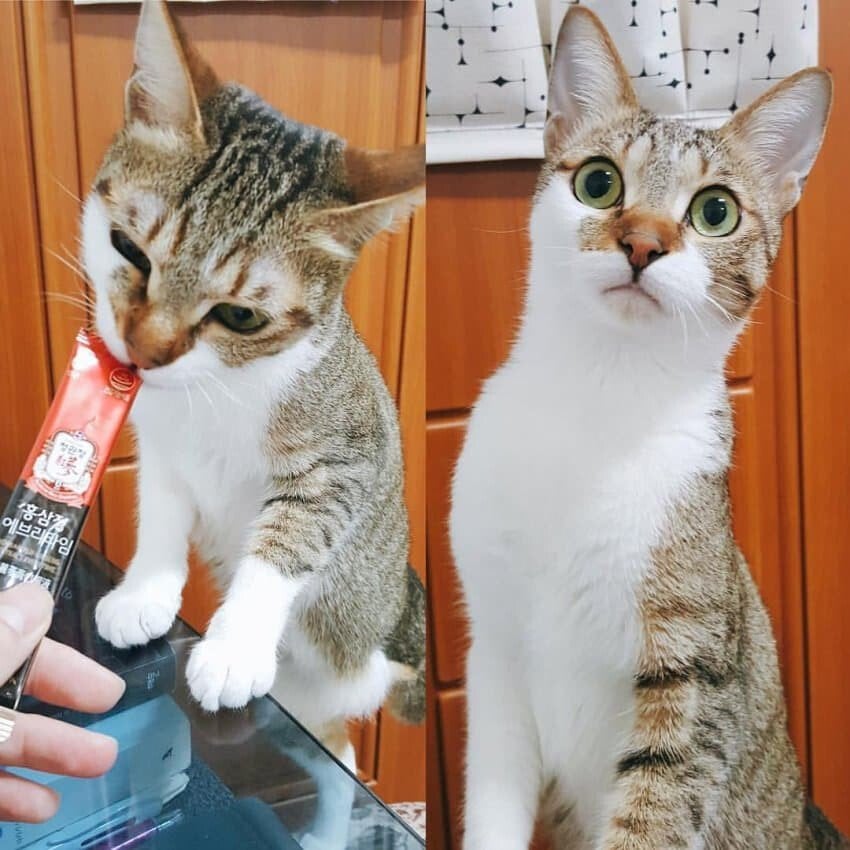 게시글 이미지