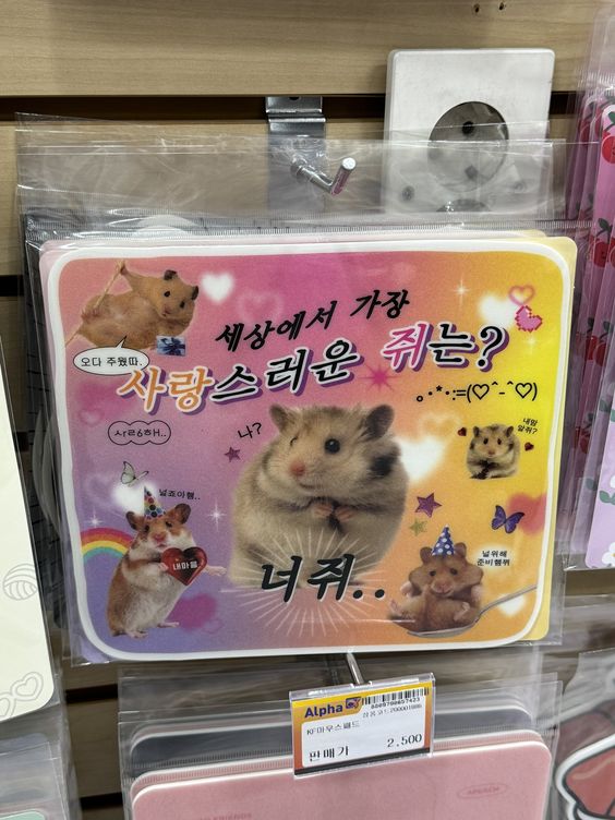 게시글 이미지
