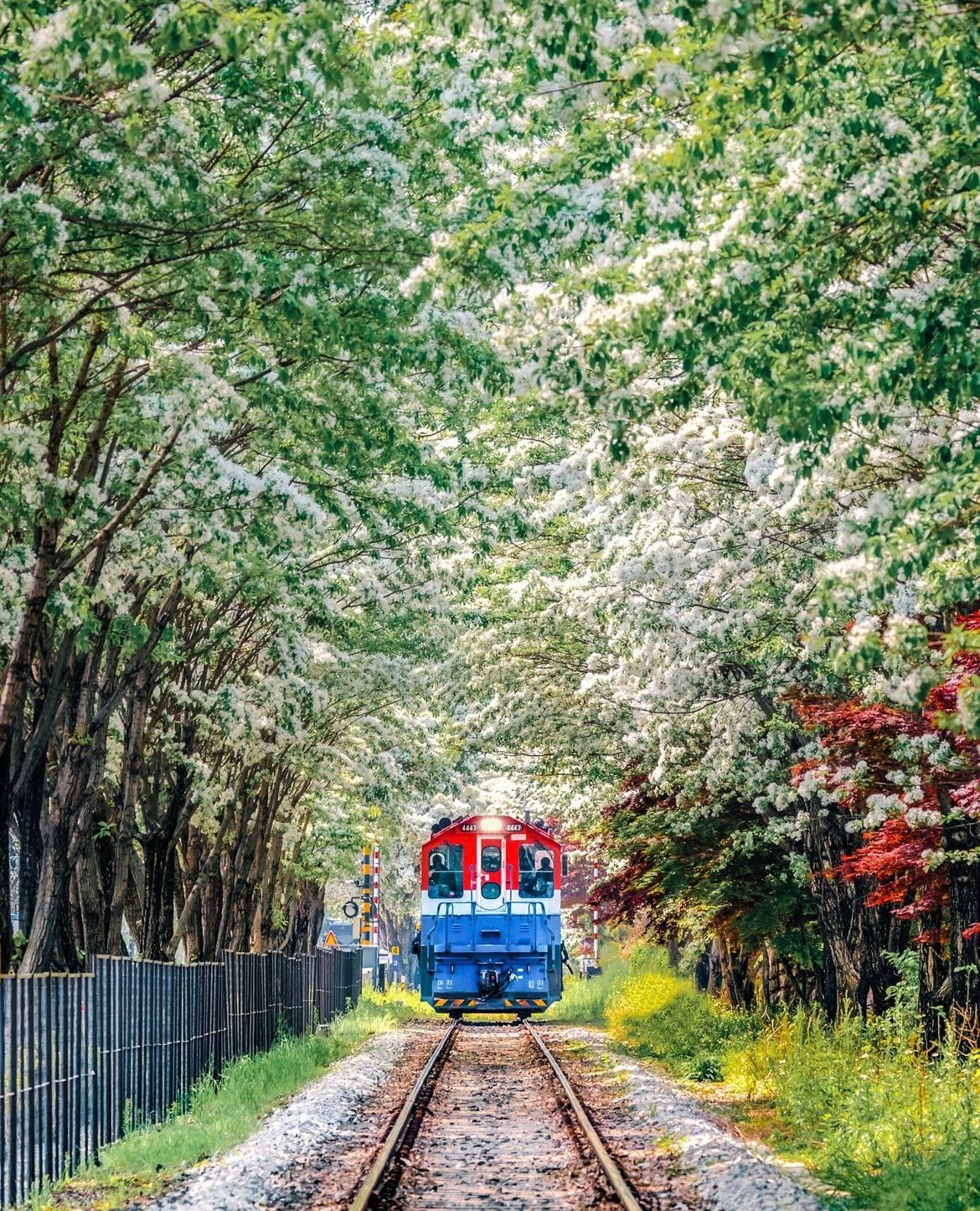 게시글 이미지