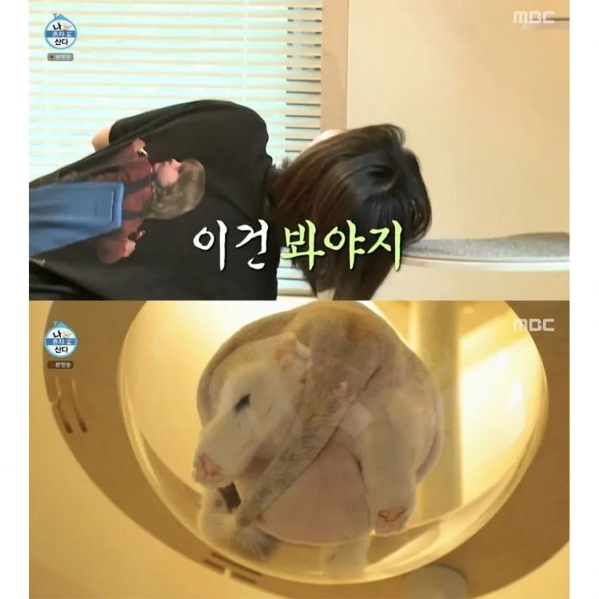 게시글 이미지