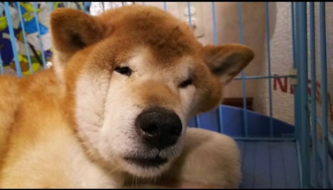 게시글 이미지
