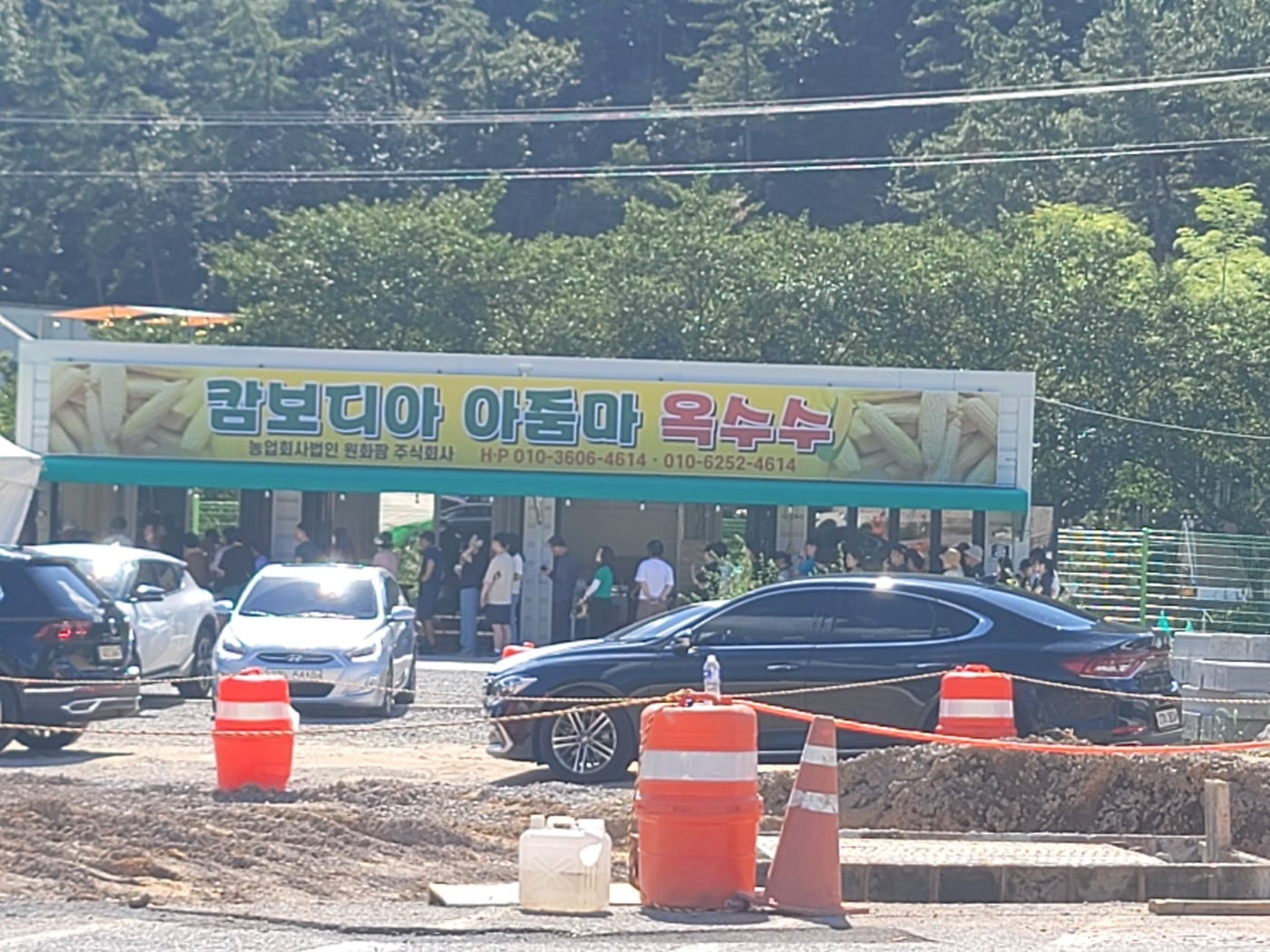 게시글 이미지