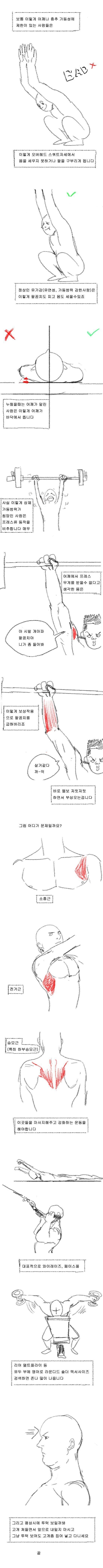 게시글 이미지