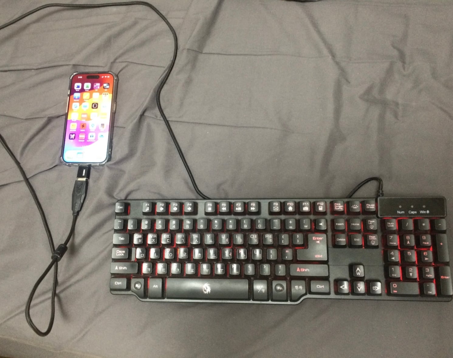 게시글 이미지