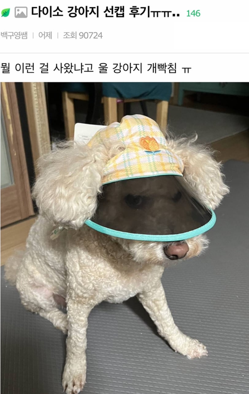 게시글 이미지