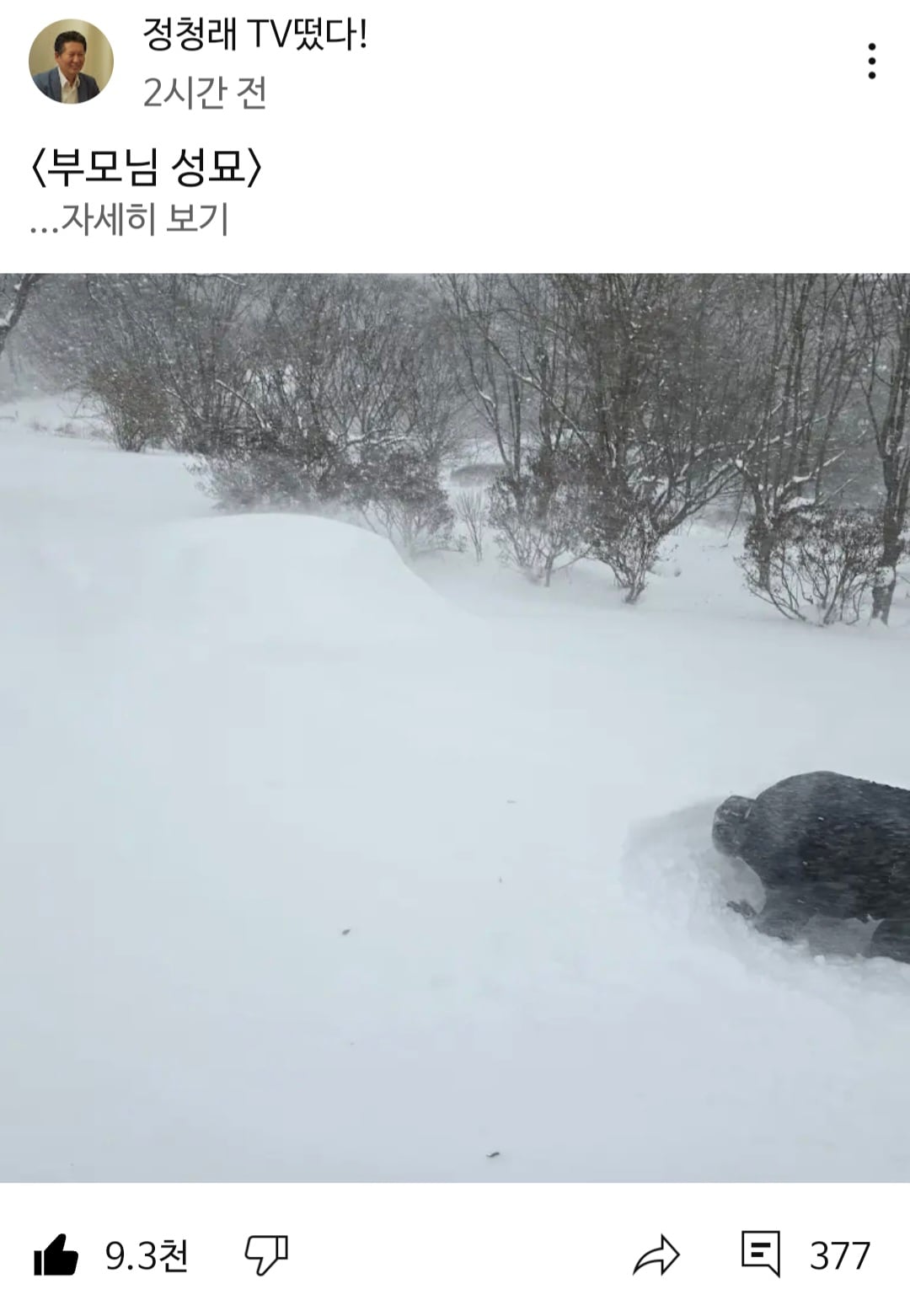 게시글 이미지