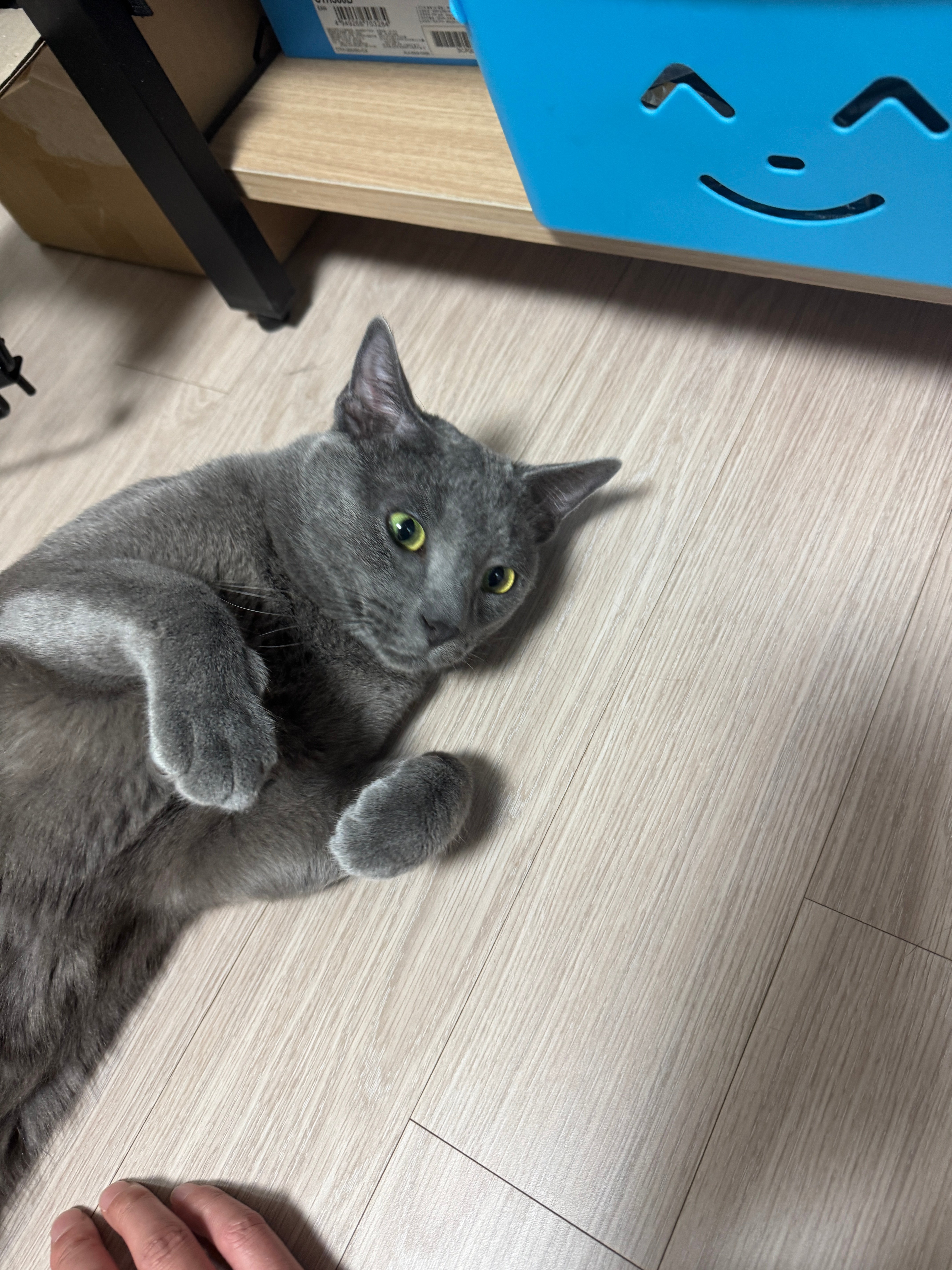 게시글 이미지
