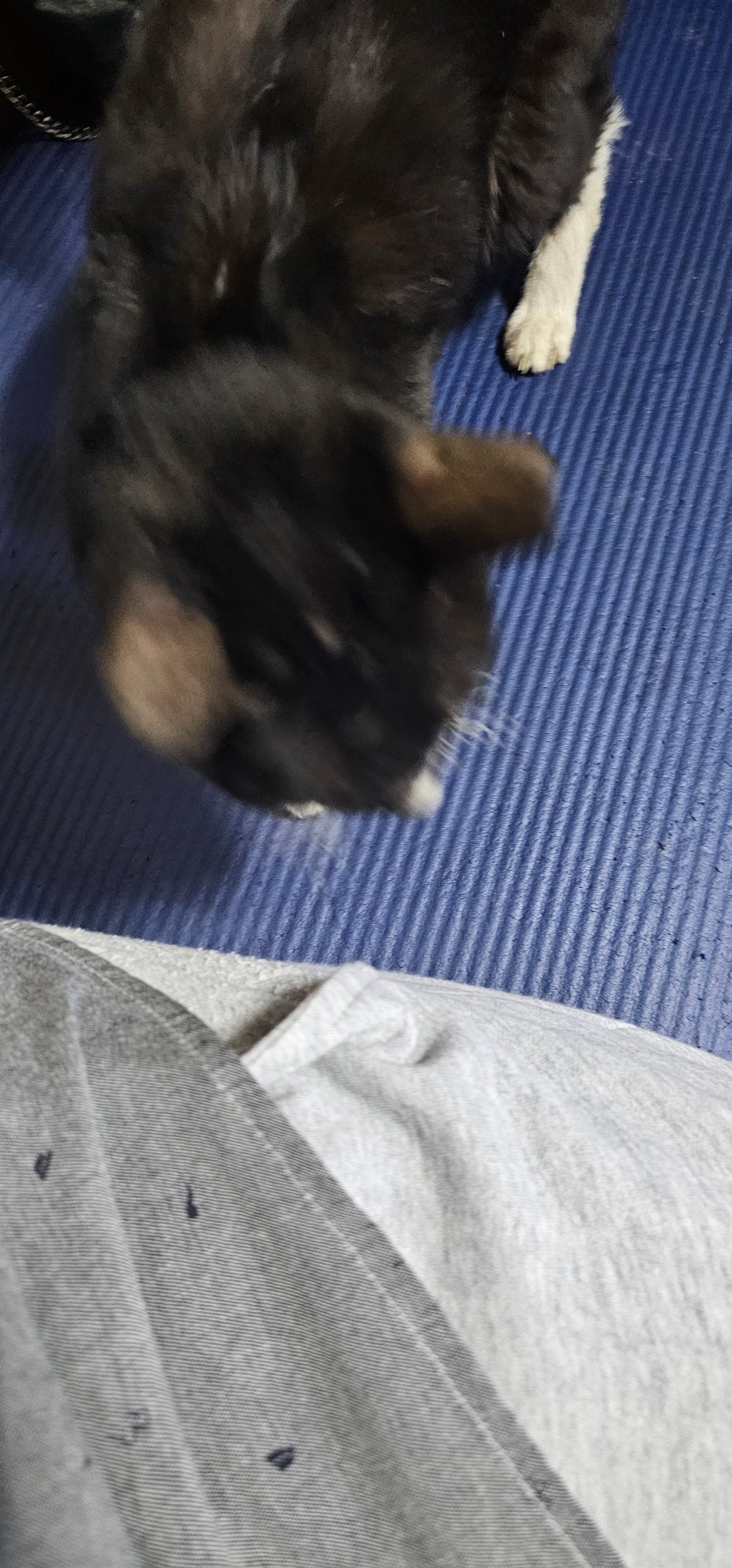 게시글 이미지