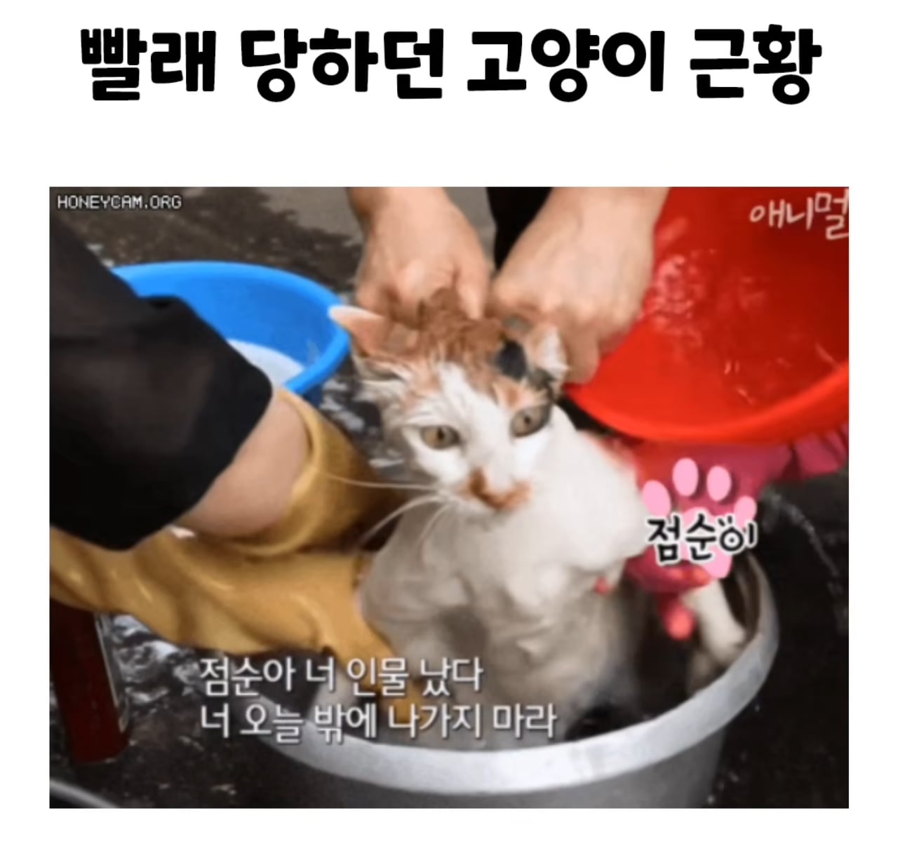 게시글 이미지