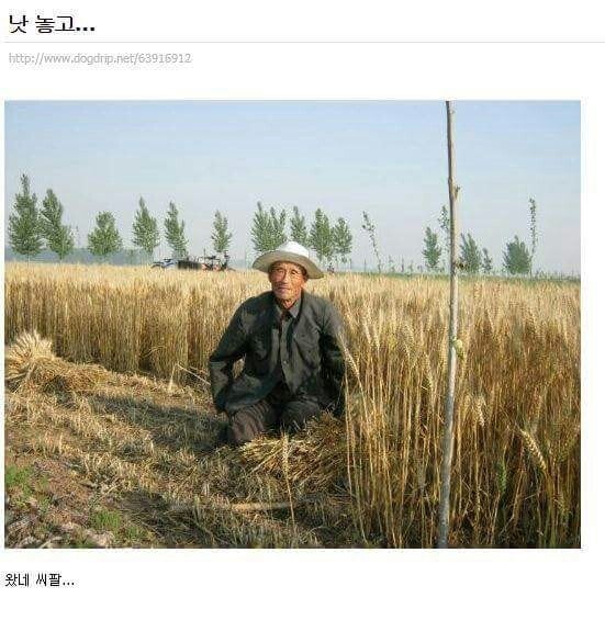게시글 이미지