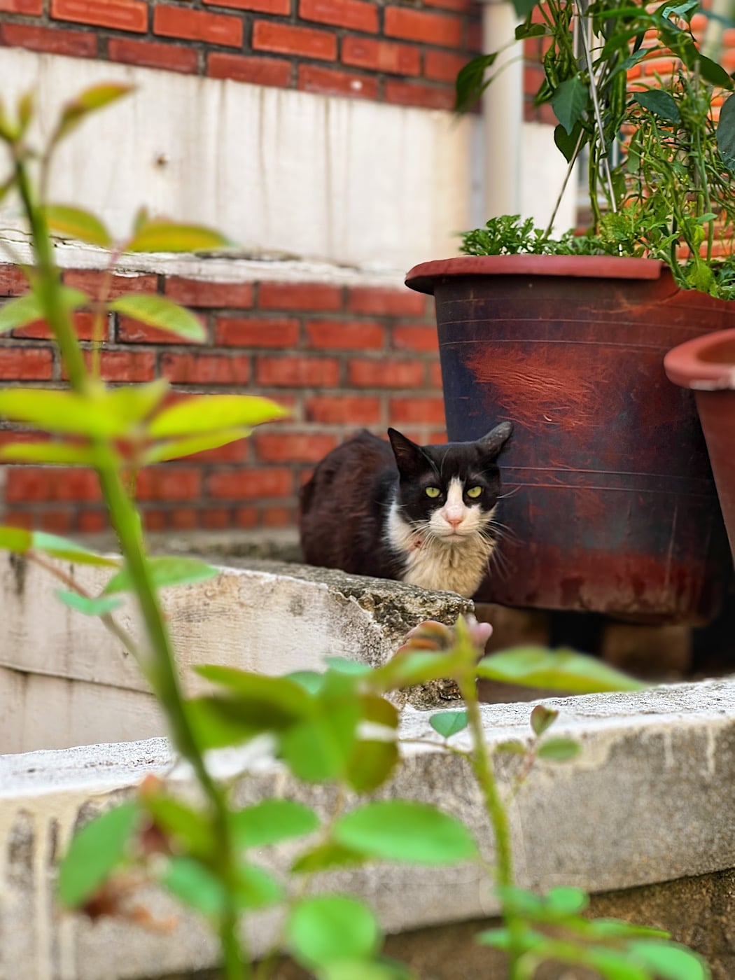 게시글 이미지