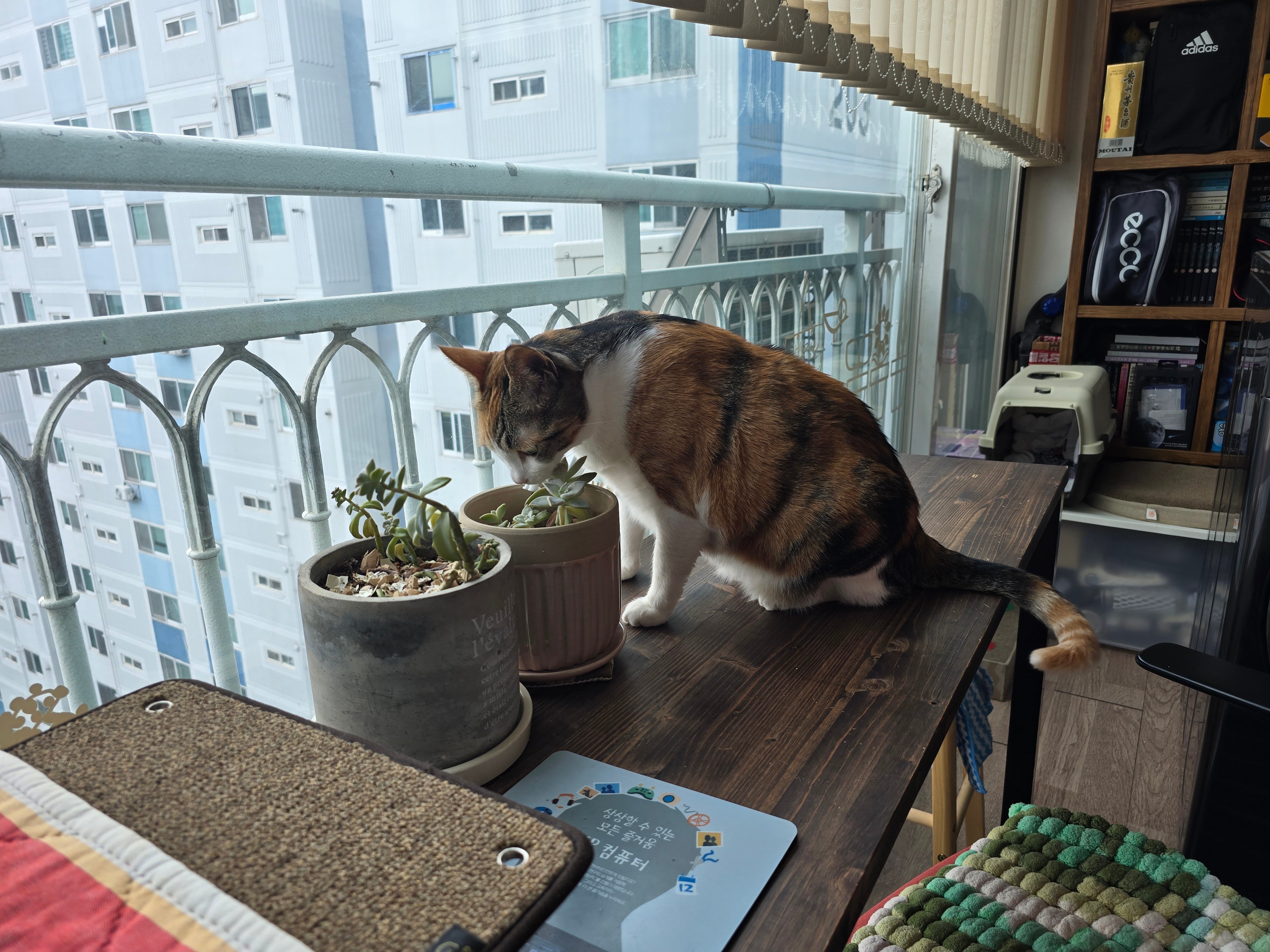 게시글 이미지