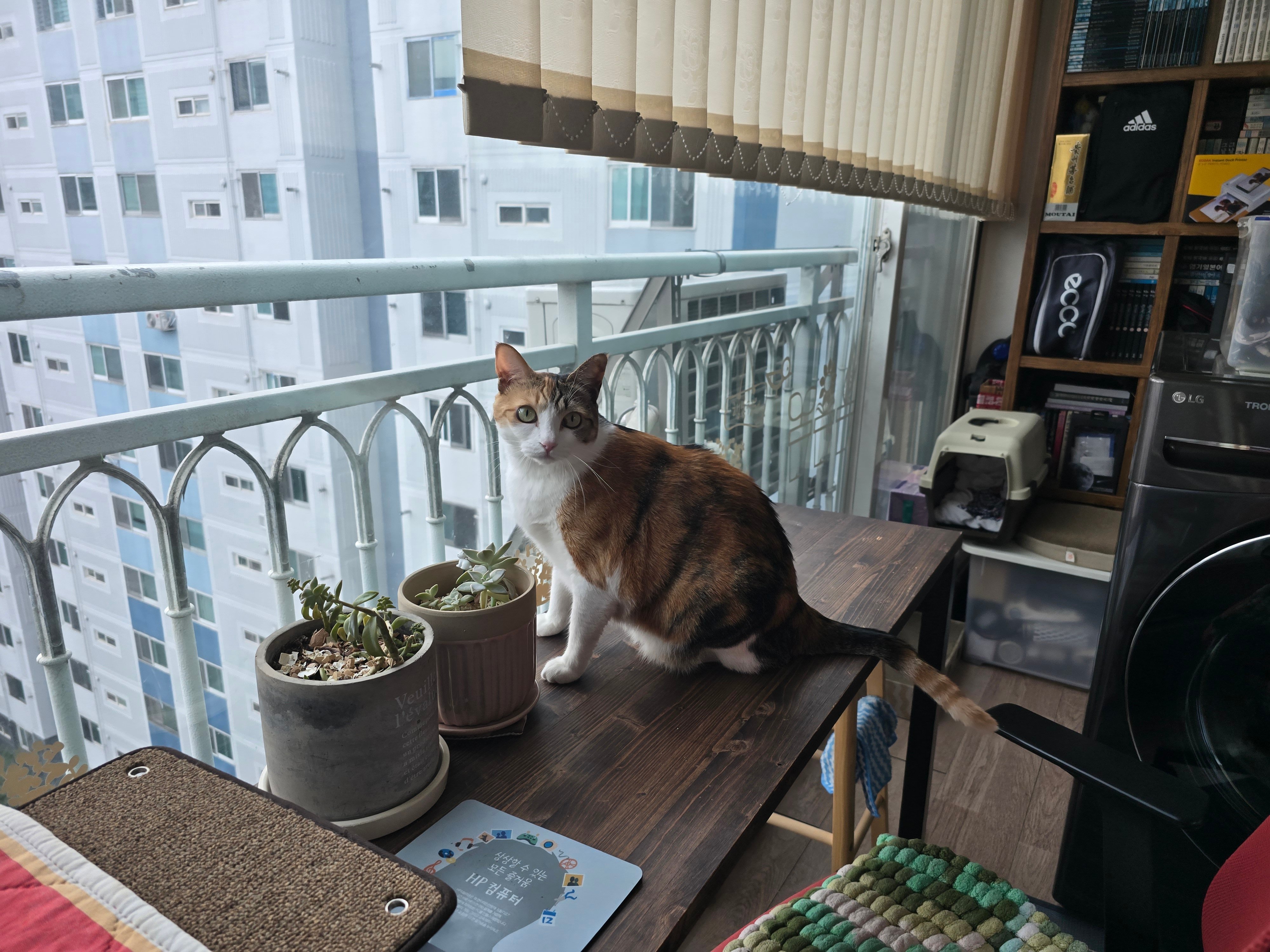 게시글 이미지