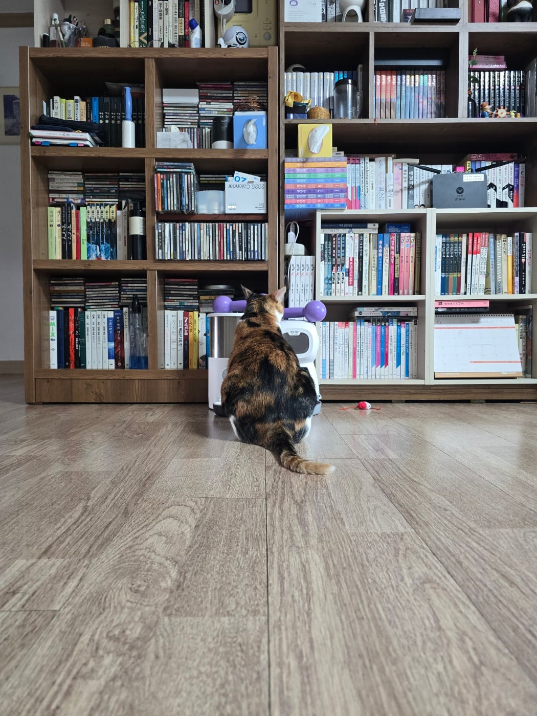 게시글 이미지