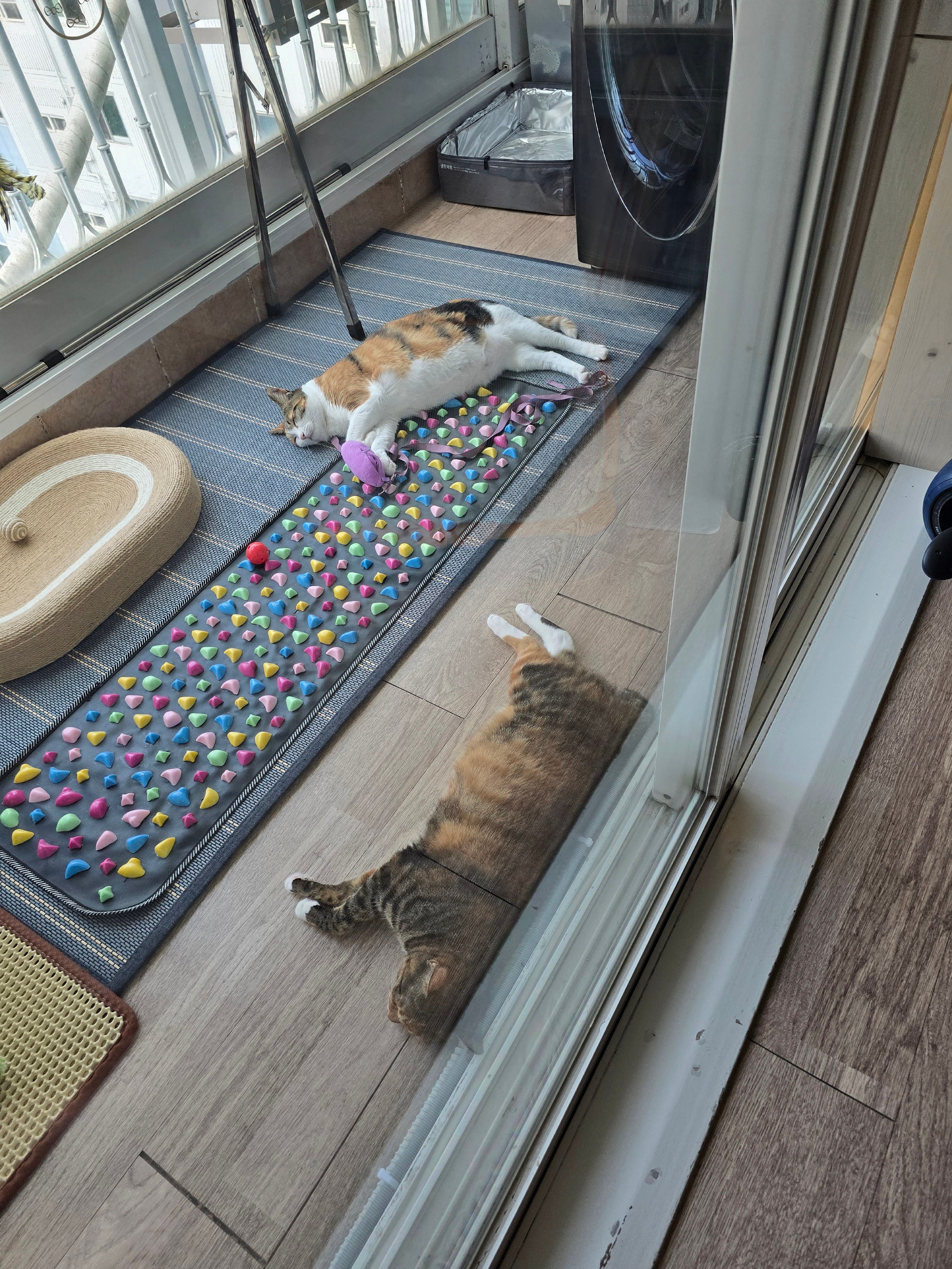 게시글 이미지