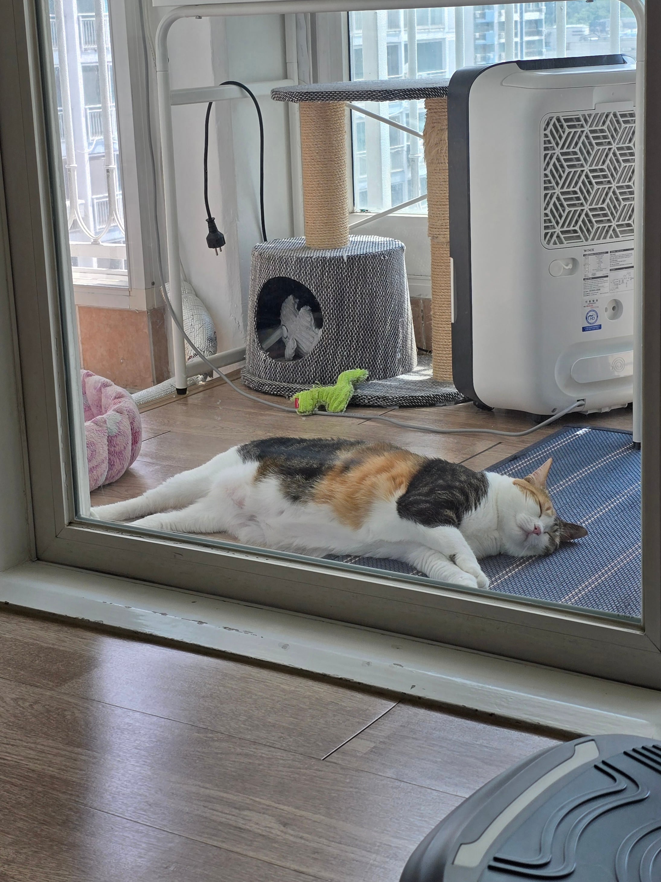 게시글 이미지